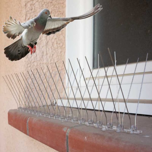 Anti-Pigeons